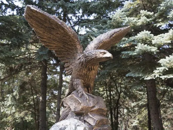 老鷹.jpg 老鷹.jpg